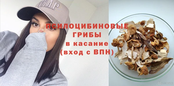 хмурый Алексеевка